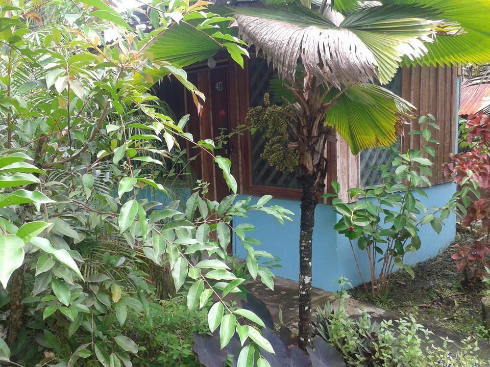 Hotel Puerto Viejo Puerto Viejo de Talamanca Exteriör bild